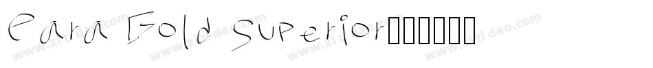Para Bold Superior字体转换